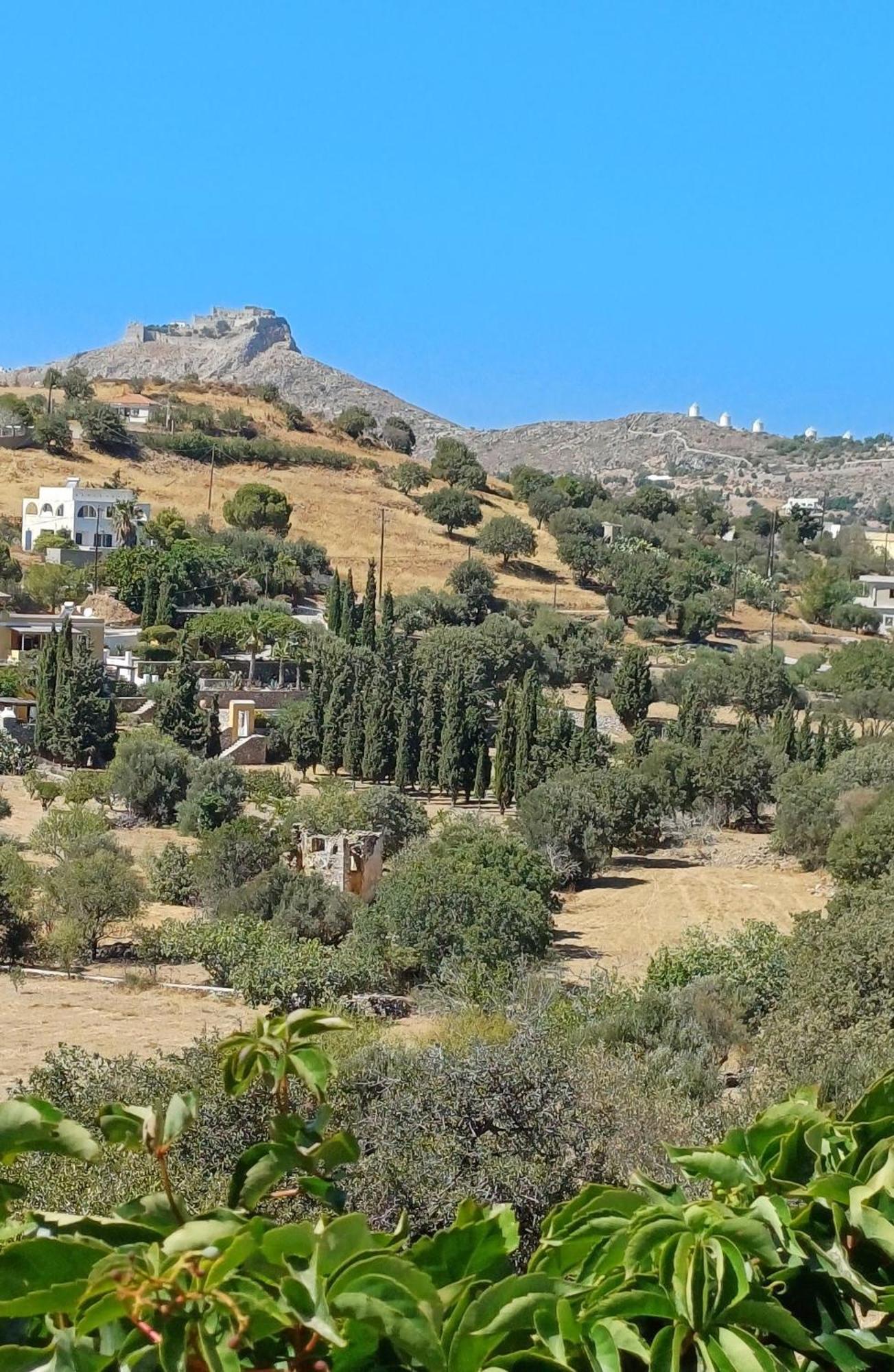 Lerian House Lakkion